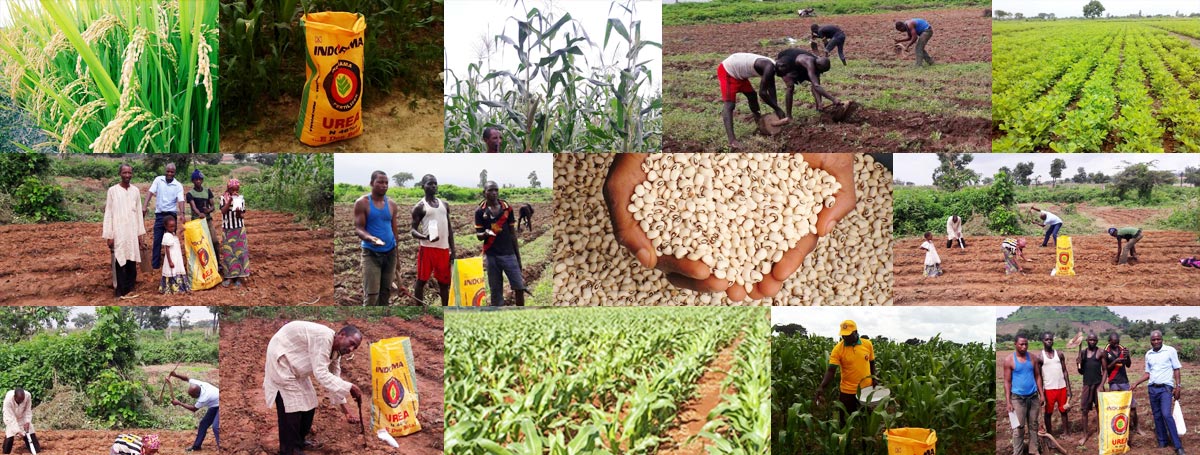 1_agronomy-services-banner_